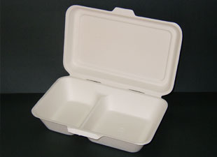 printed and disposable food containers